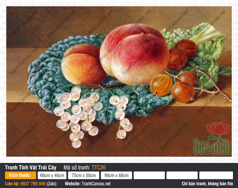 Tranh In Tĩnh Vật TTC26, Tranh Tĩnh Vật Trang Trí, Tranh Tĩnh Vật Trái Cây, Tranh Canvas Treo Phòng Ngủ