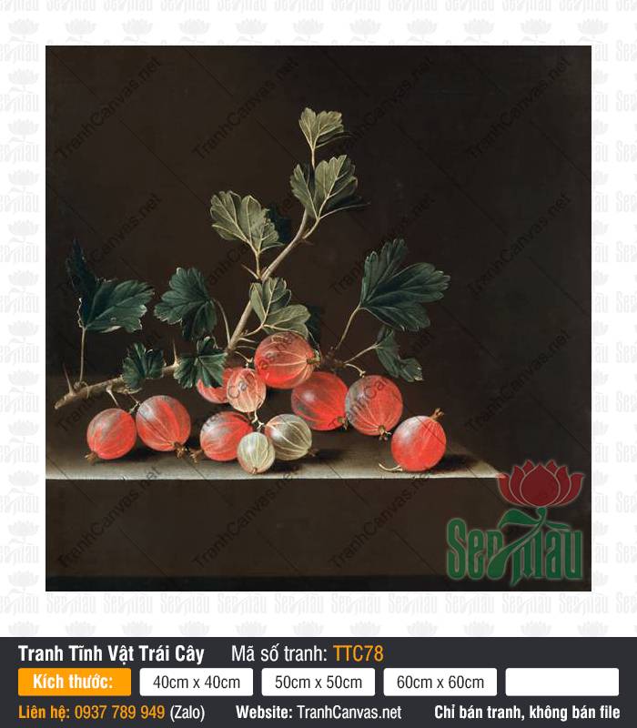 Tranh Tĩnh Vật Siêu Đẹp TTC78, Tranh Tĩnh Vật Màu, Tranh Tĩnh Vật Trái Cây, Tranh Canvas Trang Trí