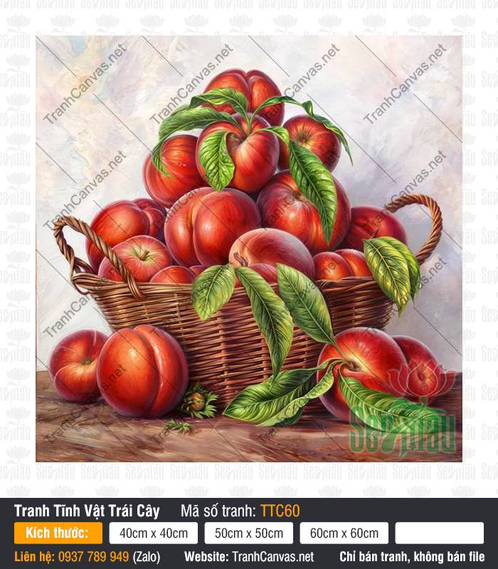 Tranh Tĩnh Vật Trái Táo TTC60, Tranh Tĩnh Vật Màu, Tranh Tĩnh Vật Trái Cây, Tranh Canvas HCM
