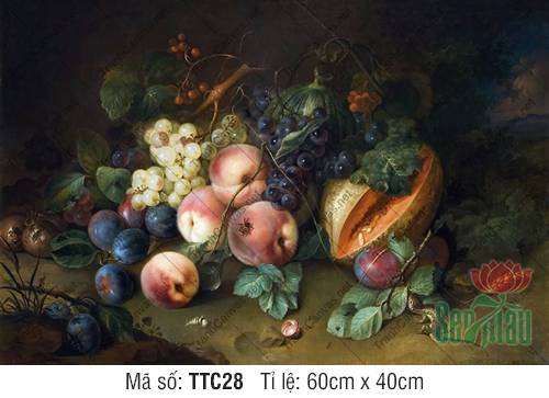 Tranh Tĩnh Vật Hiện Đại TTC28, Tranh Tĩnh Vật Quả