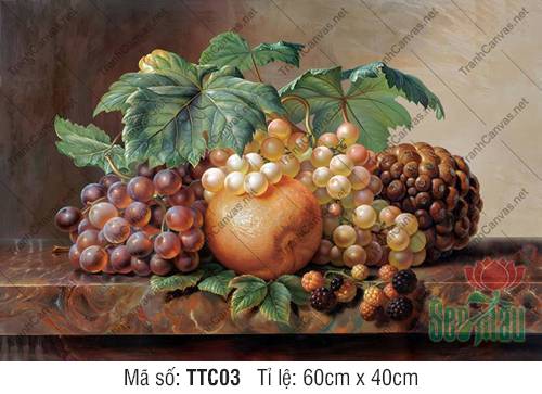 Tranh Tĩnh Vật Hoa Và Quả TTC03, In Tranh Tĩnh Vật