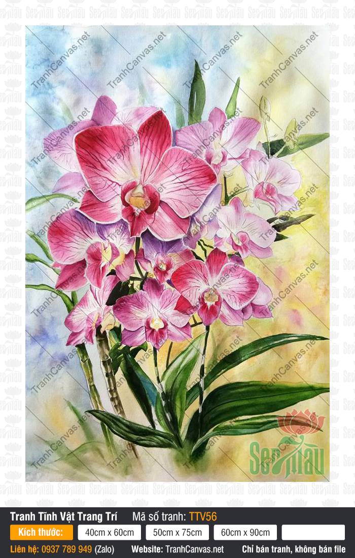 Tranh Hoa Lan Đẹp TTV56, Tranh Tĩnh Vật Treo Tường, Tranh Tĩnh Vật Trang Trí, In Tranh Vải Canvas