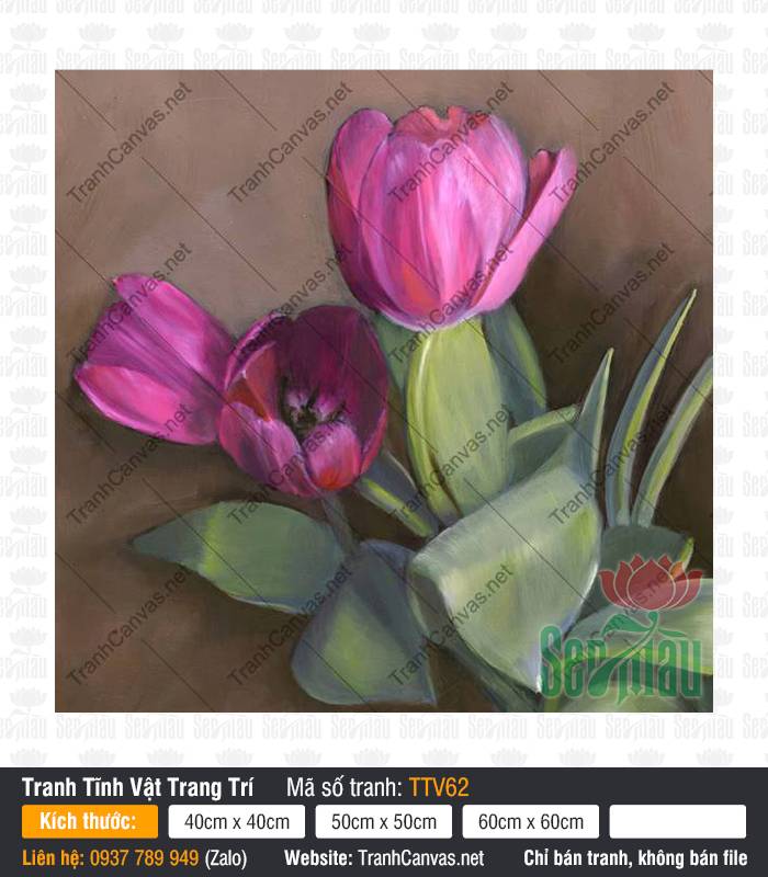 Tranh Hoa Tulip TTV62, Tranh Tĩnh Vật Đơn Giản Đẹp, Tranh Tĩnh Vật Trang Trí, Tranh Canvas Khổ Lớn