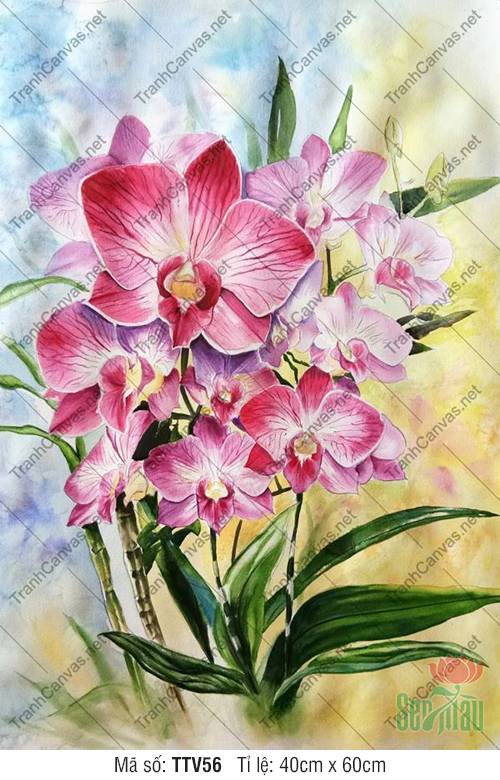 Tranh Hoa Lan Đẹp TTV56, Tranh Tĩnh Vật Treo Tường