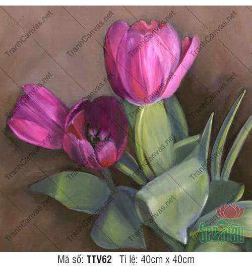 Tranh Hoa Tulip TTV62, Tranh Tĩnh Vật Đơn Giản Đẹp