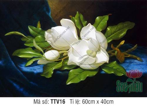 Tranh In Tĩnh Vật TTV16, Tranh Tĩnh Vật Siêu Đẹp