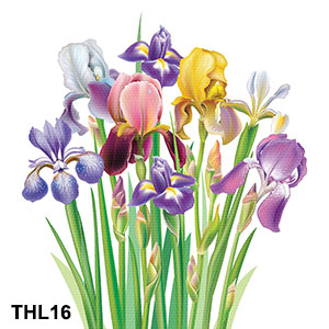 Tranh treo tường hoa Iris - Hoa Diên Vĩ - THL16