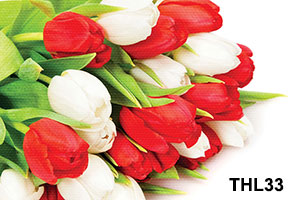 Tranh treo tường hoa Tulip đỏ vàng - THL33